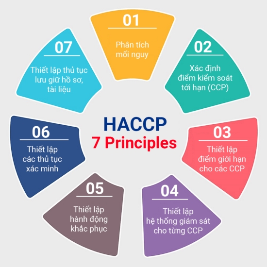 sơ đồ 7 nguyên tắc HACCP